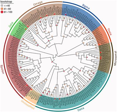 Identification and Characterization of an Antennae-Specific Glutathione S-Transferase From the Indian Meal Moth